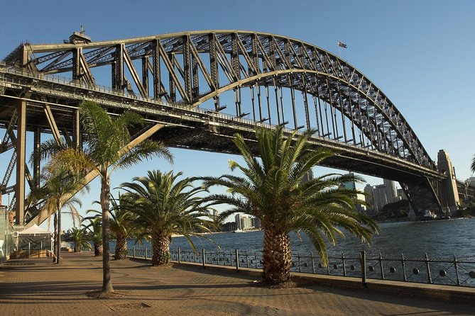 Private Sydney City and Bondi Beach Half Day Tour - Why a private half-day in Sydney beats doing it alone