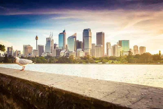 Private Sydney City and Bondi Beach Half Day Tour - The Rocks and the historic street: colonial streets you can still walk through