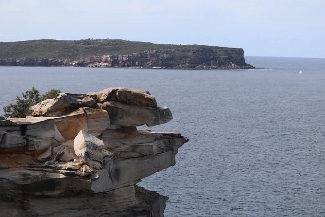 Private Sydney City and Bondi Beach Half Day Tour - Mrs Macquarie’s Chair: the 1810 sandstone bench viewpoint
