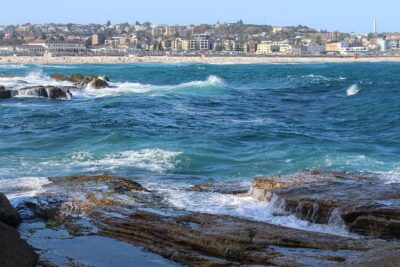 Private Sydney Discovery Tour - Price and what you actually get for $322.76 per person