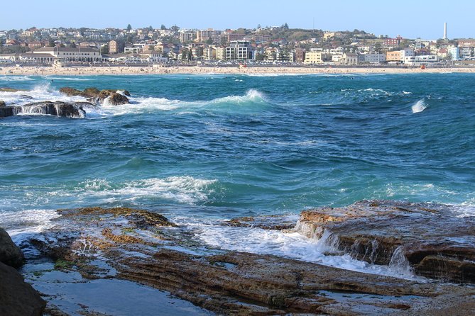 Private Sydney Discovery Tour - Price and what you actually get for $322.76 per person