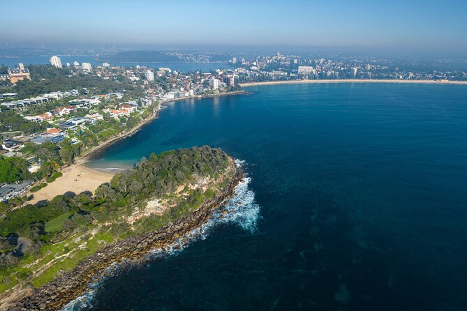 Private Sydney Snorkeling Experience: Explore Cabbage Tree Bay - Cabbage Tree Bay Aquatic Reserve: Why Shelly Beach feels like a real aquarium