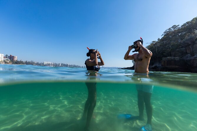 Private Sydney Snorkeling Experience: Explore Cabbage Tree Bay - Your Shelly Beach session: What to look for in Cabbage Tree Bay