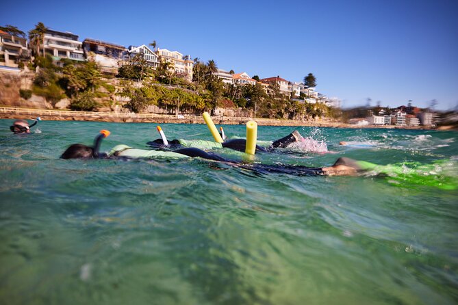 Private Sydney Snorkeling Experience: Explore Cabbage Tree Bay - Who should book this private snorkel at Shelly Beach