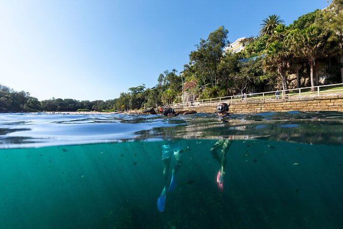 Private Sydney Snorkeling Experience: Explore Cabbage Tree Bay - Private means personal: How the 2-hour tour actually plays out