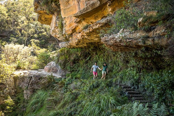 Private Tour: Blue Mountains Hiking & Nature - Pickup, vehicle comfort, and the simple perks that matter