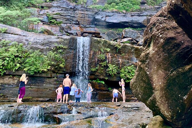 Private Tour: Blue Mountains Hiking & Nature - What “moderate fitness” really means for you