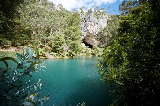 Private Tour: Jenolan Caves & Blue Mountains in a day - Blue Lake: a short stretch of walking and the thrill of possible wildlife