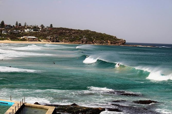 Private tour of Ku-Ring-Gai National Park and Northern Beaches - Who This Tour Fits Best (and Who Should Rethink It)