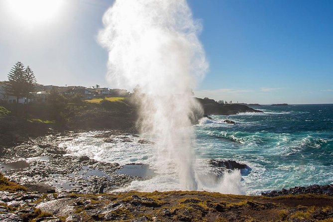 Private Tour: Sydney South Coast & Highlands - Kiama Coast Break: Blowhole, optional temple, and lunch views