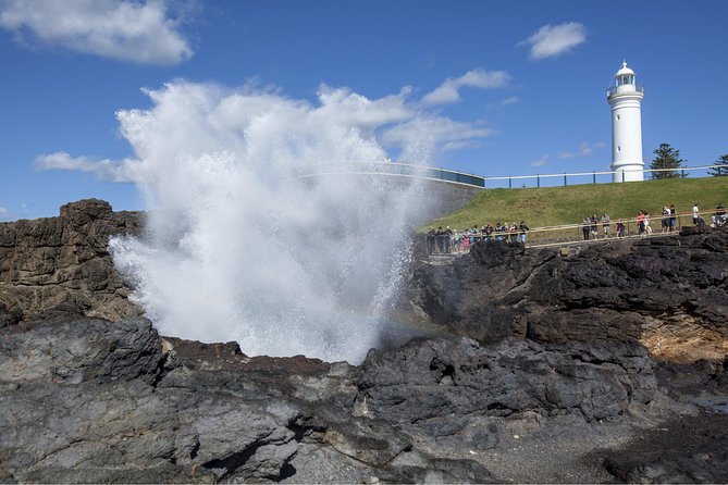 Private Tour: Sydney South Coast & Highlands - Royal National Park: Nasho basics and the easiest nature hits
