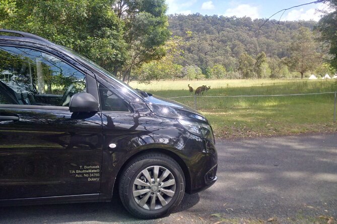 Private Transfer FROM Sydney CBD to Sydney Airport 1 to 5 people - Seats and Family Needs: Car Seats Without the Headache