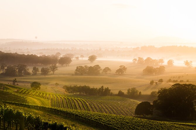 Private Wildlife Waterfalls and Wine Day Tour from Sydney - What the $785.38 Price Covers (and How to Judge Value)