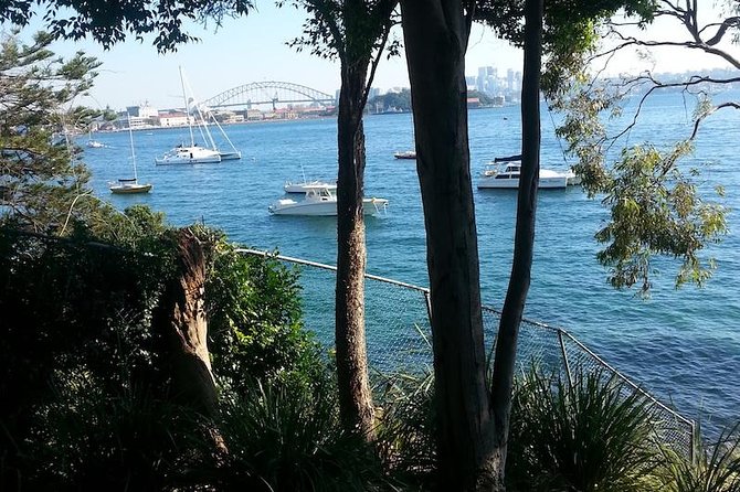 Secret Sydney: Hidden Beaches and Gardens - The private setup: why it feels like a local day, not a checklist