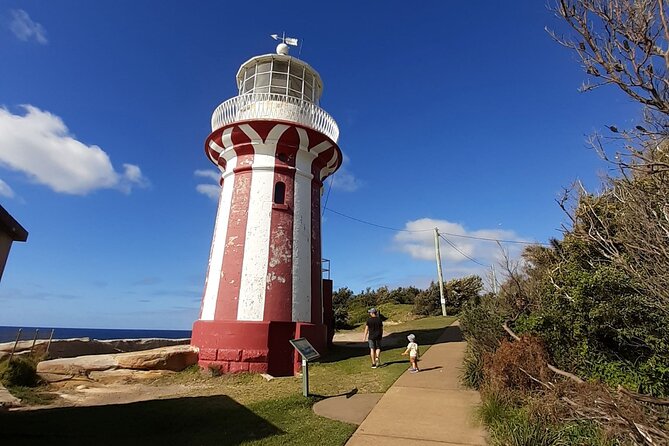 Secret Sydney: Hidden Beaches and Gardens - National park walking: birds, native plants, and cool air breaks