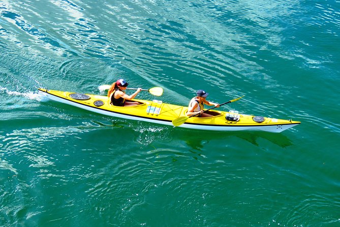 Self-Guided Sydney Middle Harbour Kayak 3 Hour Tour by Double Kayak - Key takeaways before you paddle