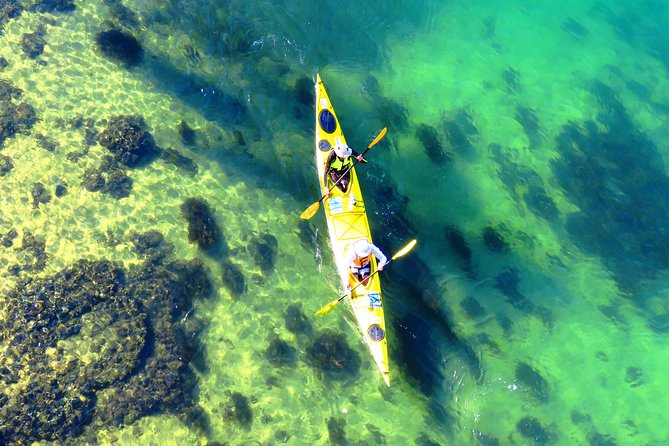Self-Guided Sydney Middle Harbour Kayak 3 Hour Tour by Double Kayak - The first big moment: Garigal National Park and the water skills you need