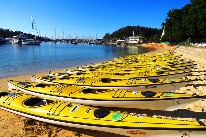 Self-Guided Sydney Middle Harbour Kayak 3 Hour Tour by Double Kayak - Wildlife and nature: what you’ll notice once you’re off the main routes