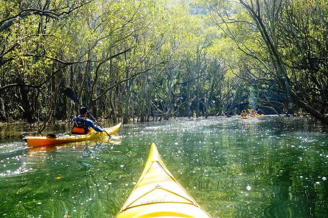 Self-Guided Sydney Middle Harbour Kayak 3 Hour Tour by Double Kayak - Who this tour is best for (and who might want to think twice)