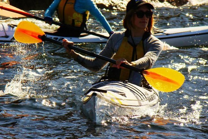 Self-Guided Sydney Middle Harbour Kayak 3 Hour Tour by Single Kayak - Middle Harbour in 3 Hours: What Makes It Worth Your Time