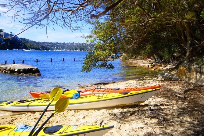 Self-Guided Sydney Middle Harbour Kayak 3 Hour Tour by Single Kayak - Route Possibilities: Mangroves, Beaches, Wrecks, and the Heads