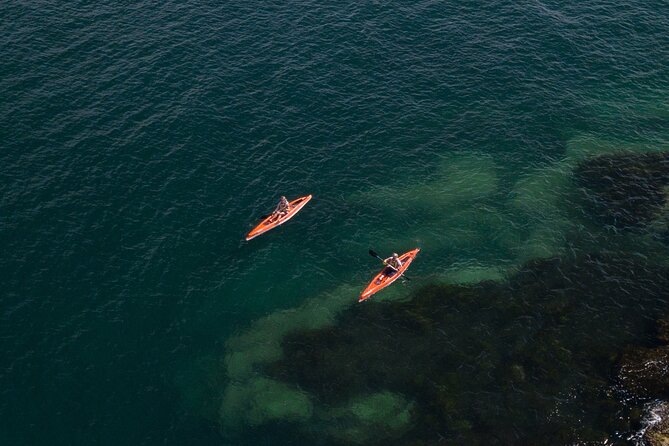 Single Kayak Hire - 4 Hours - Why a Single Kayak in Manly Works for First-Timers