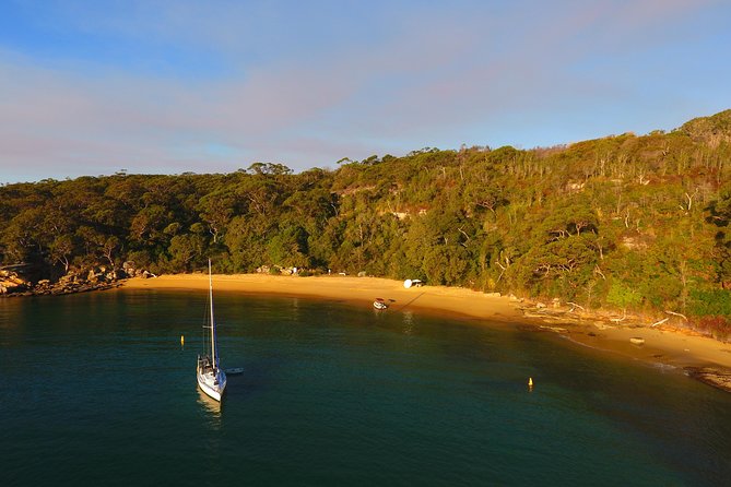 Single Kayak Hire - 4 Hours - Quarantine Beach, Store Beaches, and the Q Station Turnaround
