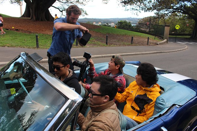 Six-Bridges-of-Sydney-Vintage-Car-Ride-Experience - The Anzac Bridge Finale: Panoramic Views and a Clean Finish