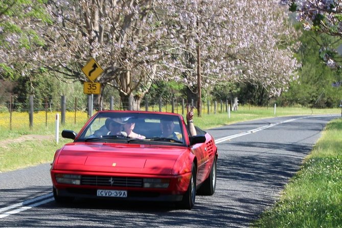 Six-Bridges-of-Sydney-Vintage-Car-Ride-Experience - Photo Tips, Seat Belts, and Child Seats (practical guidance)