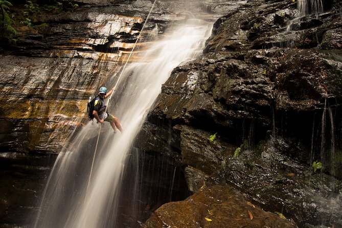 Small-Group Full-Day Rock Climbing Adventure from Katoomba - Abseiling: Learning the Descent Skill (Even If You’ve Never Done It)