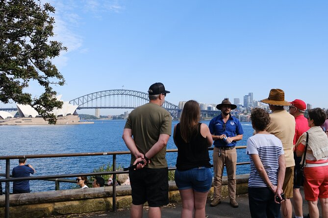 Small-Group Sydney City Walking Tour - Sydney Tower and harbourfront timing: how the route stays efficient