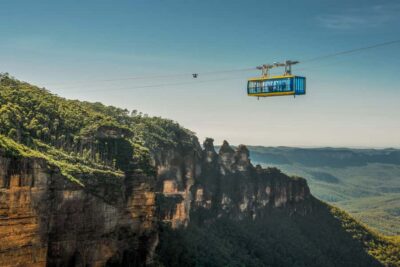 Small Group: Zoo, Blue Mountains, Scenic World Mandarin Tour - Sydney Zoo: your koala photo and your one-hour wildlife window