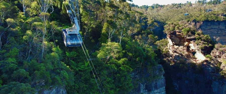 Small Group: Zoo, Blue Mountains, Scenic World Mandarin Tour - Price and value: why $147 can work (and when it might not)