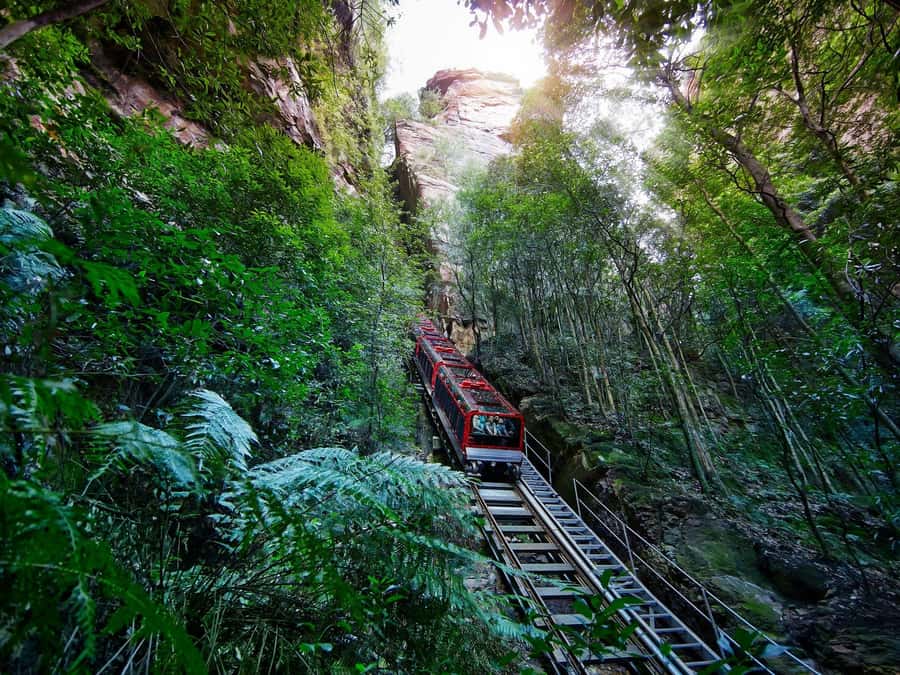 Small Group: Zoo, Blue Mountains, Scenic World Mandarin Tour - Small-group logistics: pickup windows, coach comfort, and language