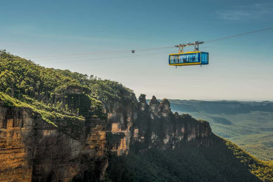Small Group: Zoo, Blue Mountains, Scenic World Mandarin Tour - Sydney Zoo: your koala photo and your one-hour wildlife window
