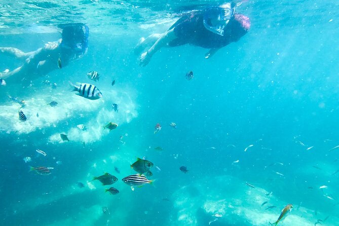 Snorkeling Adventure for Kids with Private Guide In Sydney - Photos that actually help: memories without the chaos