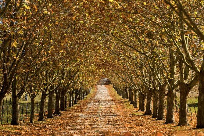 Southern Highlands Private Tour with Wine, Waterfall and Garden - Bowral: A Laid-Back Highlands Start With Real Wandering Time