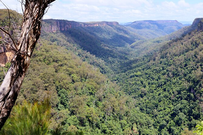 Southern Highlands Private Tour with Wine, Waterfall and Garden - What You’re Paying For: The Real Value of $523.59 Per Person