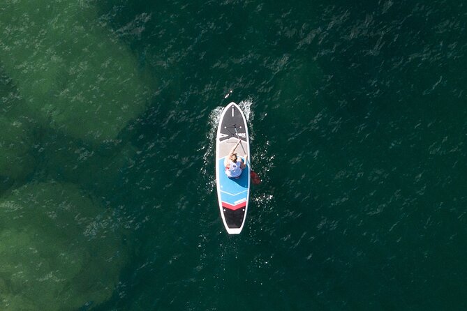 Stand Up Paddle Board Hire - 2 Hours - Why Manly North Harbour is the perfect SUP training ground