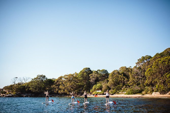 Stand Up Paddle Board Hire - 2 Hours - Fitness and swim requirement: the one safety check you should take seriously