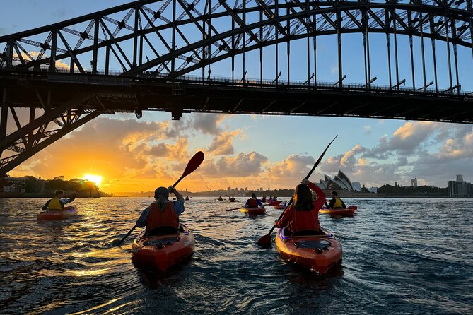 Sunrise Paddle Session on Syndey Harbour (single kayak) - Milson Park Start: Launch Setup, Breakkie, and a Real Local Feel