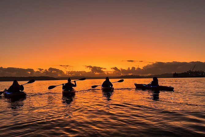 Sunrise Paddle Session on Syndey Harbour (single kayak) - Harbour Bridge at Sunrise: The Main Event (Weather Permitting)