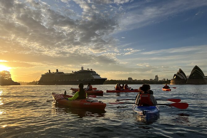 Sunrise Paddle Session on Syndey Harbour (single kayak) - Neutral Bay and Luna Park Views: The Route Beyond the Obvious
