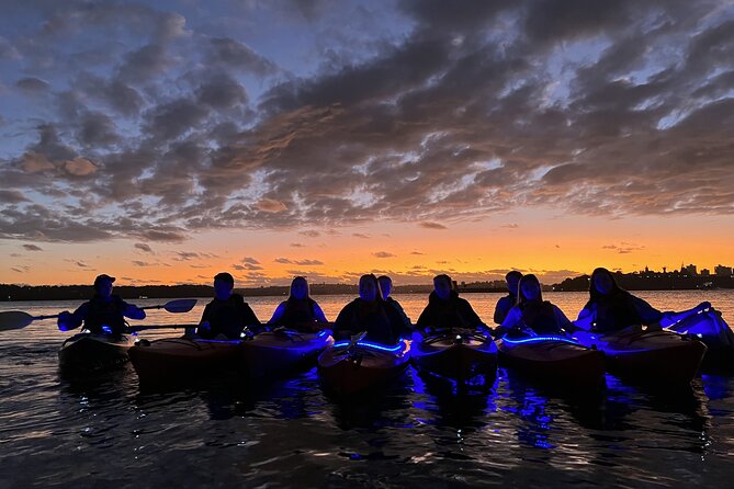 Sunrise Paddle Session on Syndey Harbour (single kayak) - Who This Sunrise Single Kayak Is Best For
