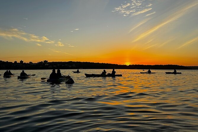 Sunrise Serenity Kayak Tour of Sydney Harbour - Water conditions and comfort: what to wear for a bright early start