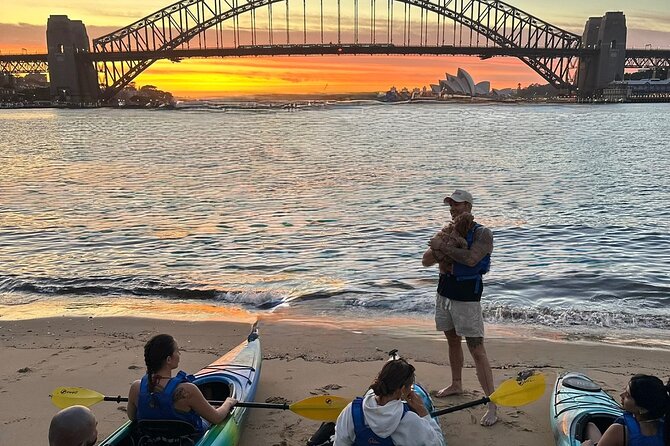 Sunset Harbour Bridge Kayak Escape - Group Size, Guide Quality, and What You’re Really Paying For