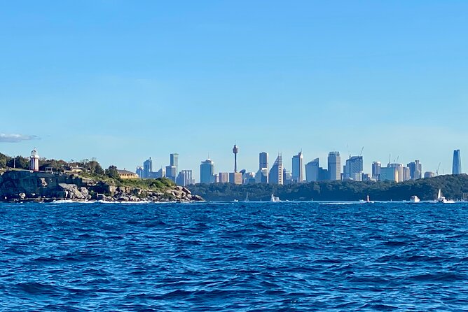 Sydney Beaches Half Day Drive and Walk Tour - Tamarama and Dover Heights: Cliff Views Without the Long Detour