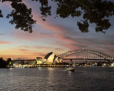 Sydney: Big Bus Panoramic Night Tour by Open-Top Bus - Mrs Macquarie’s Chair Photo Stop: Why That 10 Minutes Matters