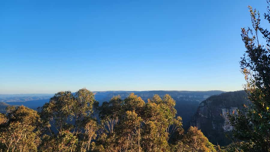 Sydney Blue Mountains, Scenic World, Featherdale - Price and Value: What The $300 Covers (And What Doesn’t)