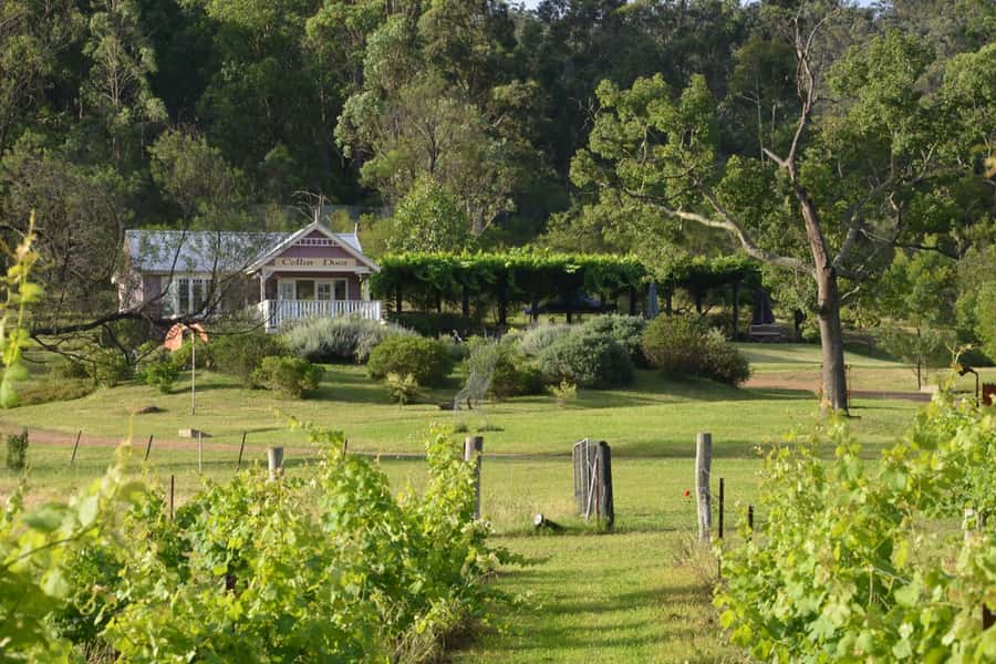 Sydney: Chef-Led Hunter Valley Food & Wine Tour - From Sydney Fish Market to Hunter Valley in 12 focused hours